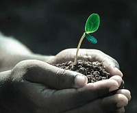 Procesmanagement is als een plant dat groeit door menselijke handen