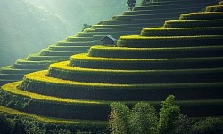 Procesmanagement is rekening houden met een bestaande situatie en daar het beste van proberen te maken. Het is zoals terrassen maken in een bergachtig landschap om gewassen te kunnen telen.